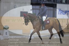 ref. photo 3381200