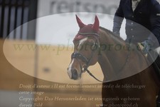 ref. photo 3381205