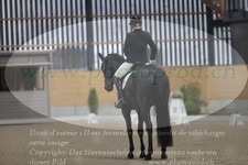 ref. photo 3381359