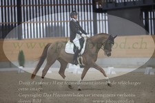 ref. photo 3381385