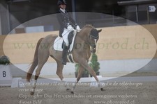 ref. photo 3381386