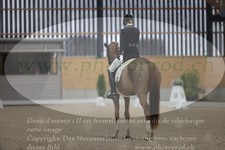 ref. photo 3381392