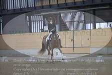 ref. photo 3381399