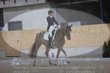 ref. photo 3381402