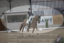 ref. photo 3381404