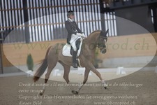 ref. photo 3381406