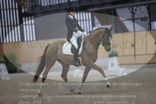 ref. photo 3381407