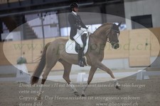 ref. photo 3381408
