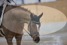 ref. photo 3381422