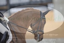 ref. photo 3381427
