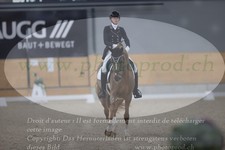 ref. photo 3381432
