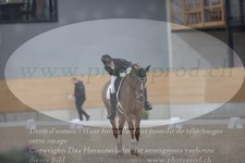 ref. photo 3381444