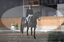 ref. photo 3381455