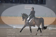 ref. photo 3381458