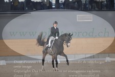 ref. photo 3381471