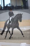 ref. photo 3381487