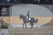 ref. photo 3381489