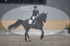 ref. photo 3381493