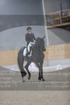 ref. photo 3381501