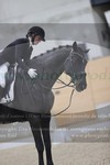 ref. photo 3381503