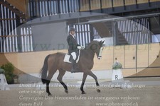 ref. photo 3381506