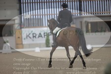 ref. photo 3381509