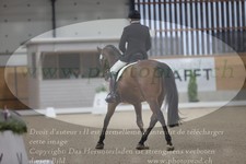 ref. photo 3381510