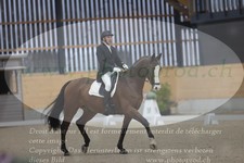 ref. photo 3381516