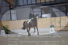 ref. photo 3381521