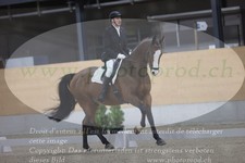 ref. photo 3381525