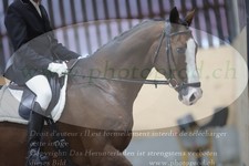 ref. photo 3381532