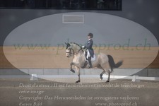 ref. photo 3381619