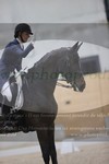 ref. photo 3381662