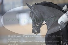ref. photo 3381673