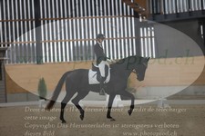 ref. photo 3381676