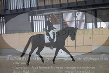 ref. photo 3381677