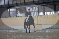 ref. photo 3381683