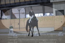 ref. photo 3381684