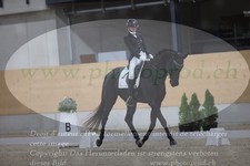 ref. photo 3381686
