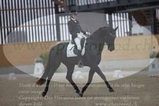 ref. photo 3381690