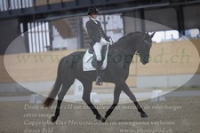 ref. photo 3381691