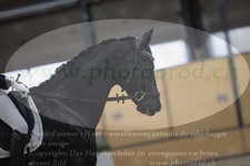 ref. photo 3381693