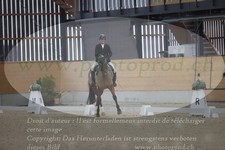 ref. photo 3381719