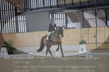 ref. photo 3381730