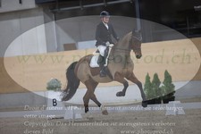 ref. photo 3381734