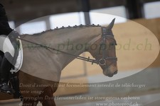 ref. photo 3381740