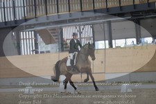 ref. photo 3381753