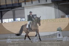 ref. photo 3381754