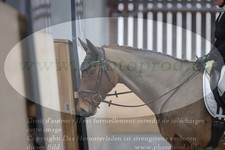 ref. photo 3381758