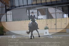 ref. photo 3381760